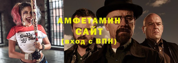 шишки Богородицк