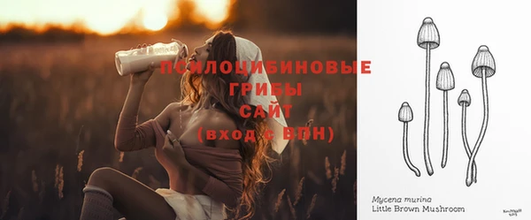 бошки Беломорск
