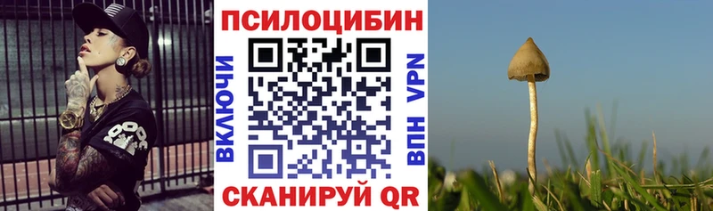 Галлюциногенные грибы Psilocybe Гаврилов-Ям